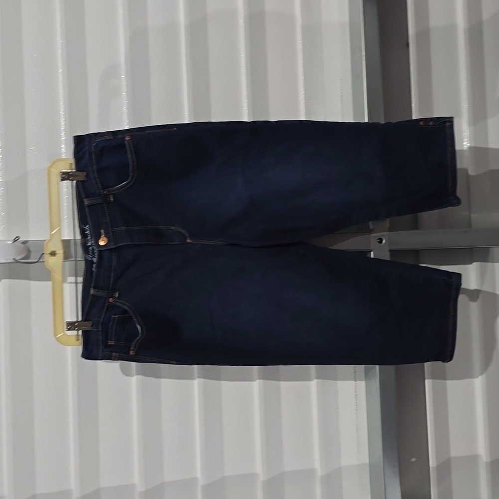 Gloria Vanderbilt Blue Jean Capri's Size 14P